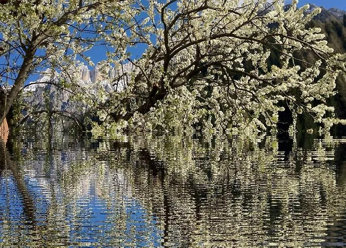 Apartment San Marco *